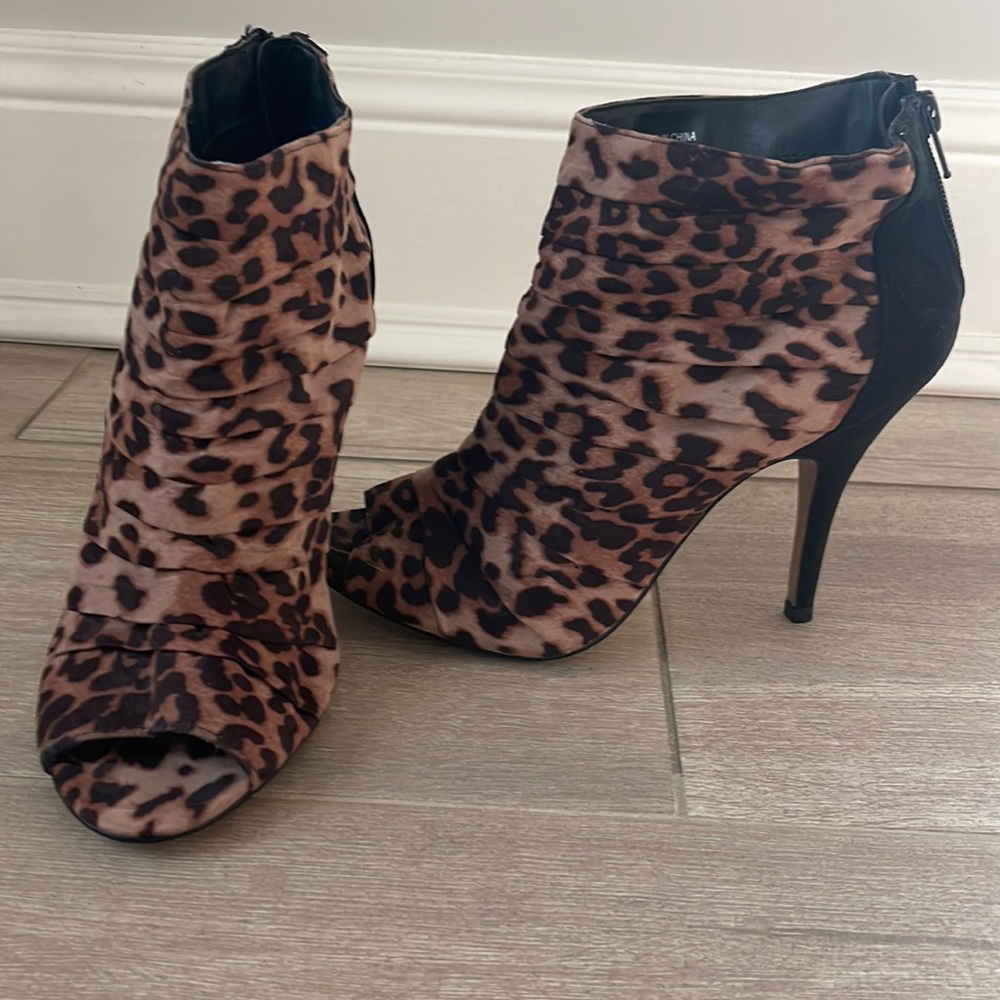 Leopard